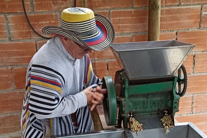 Private coffee tour near Medellín, from bean to cup. - Key Highlights You’ll Feel in Real Life