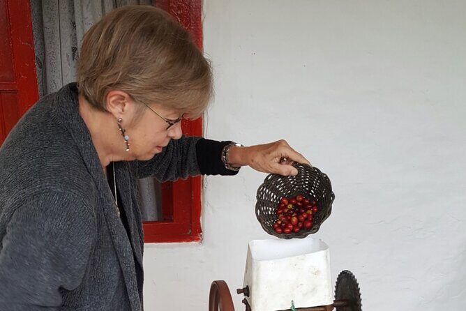 Private coffee tour near Medellín, from bean to cup. - Suit Up and Walk the Hillsides for the Picking Part