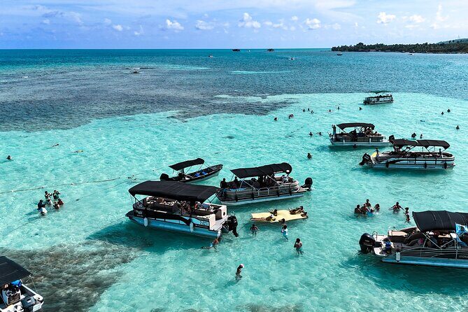 Private Marine Tour: Discover the 7 Colors of the San Andreas Sea - Key highlights you’ll actually care about