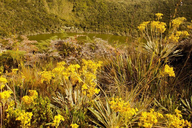 Private Zipaquira Salt Cathedral and Guatavita Lagoon Tour from Bogota - What to wear and bring for a smooth day
