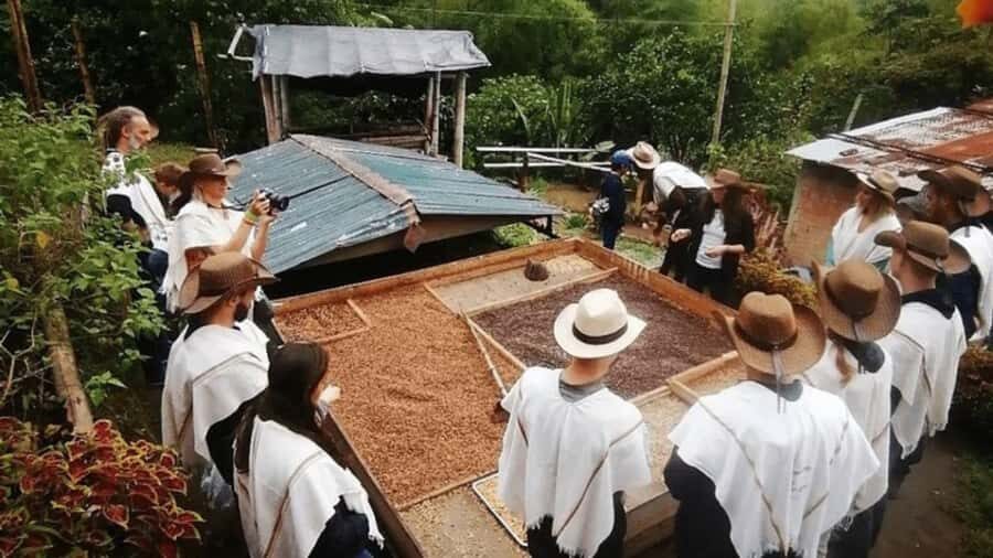 Salento and Cócora Tour + Coffee Farm from Pereira/Armenia - Price and Logistics: What Your $173 Actually Buys