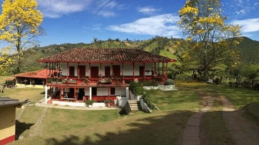 Salento and Cócora Tour + Coffee Farm from Pereira/Armenia - Cócora Valley and the Palm Forest: Where the Photos Come From