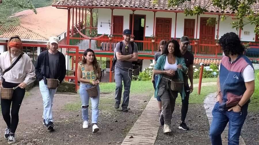 Salento and Cócora Tour + Coffee Farm from Pereira/Armenia - Photography Tips: Getting Great Shots Without Freaking Out