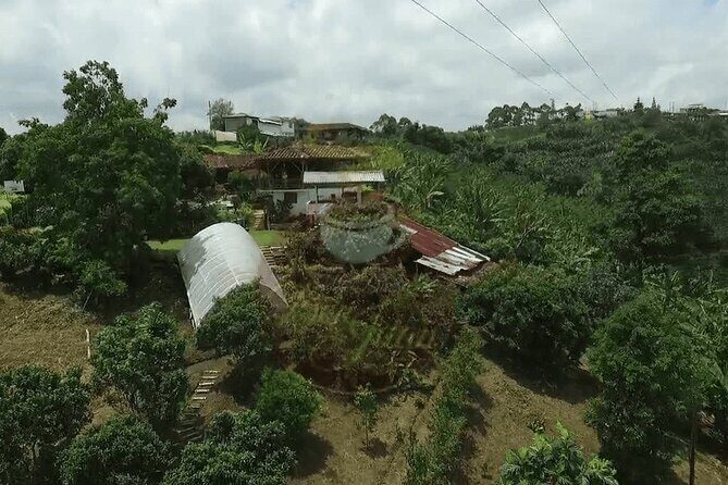 Salento and Cócora Tour plus Coffee Farm from Pereira or Armenia - Door-to-door transport from Pereira or Armenia