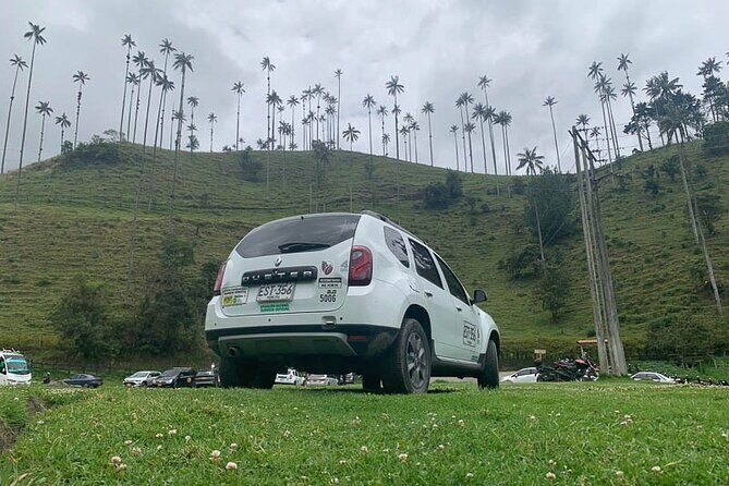 Salento and Cócora Tour plus Coffee Farm from Pereira or Armenia - Who should book this Cocora + Salento + coffee day?
