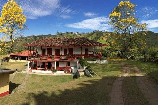 Salento and Cócora Tour plus Coffee Farm from Pereira or Armenia - Salento’s Royal Street: colonial façades in one hour