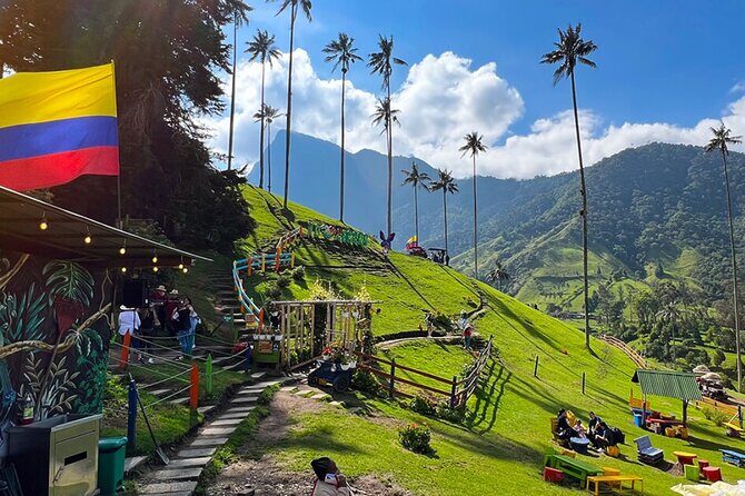 Salento, Cocora+Filand PREMIUM PLAN. exit: Pereira/Armenia. - Valle del Cocora: palm forest walking with condor habitat vibes