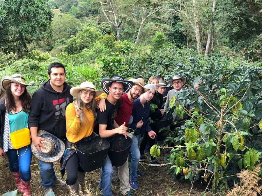 Salento: Coffee Farm Tour with Tasting - From Filandia to Tolima: the ride and the farm setting