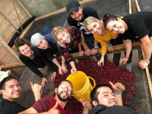 Salento: Coffee Farm Tour with Tasting - The guided coffee expert walk-through: phases that actually make sense