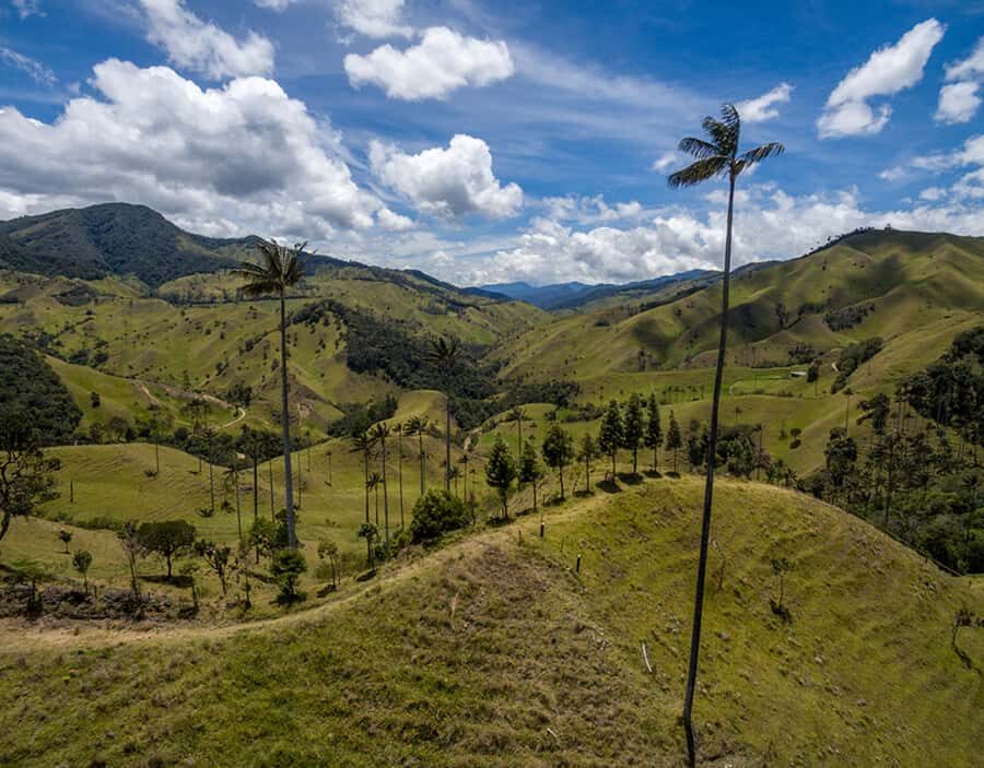 Salento/Pereira: Cocora Valley & Salento Hiking Private Tour - Key highlights you’ll feel on this tour