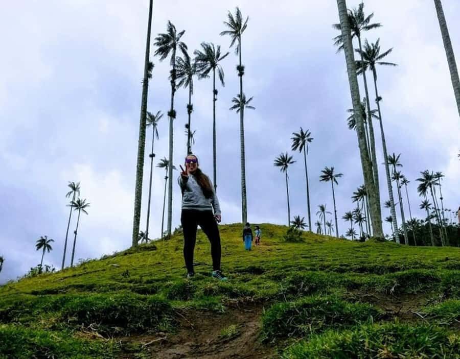 Salento/Pereira: Cocora Valley & Salento Hiking Private Tour - Entering Valle del Cocora: wax palms, mists, and that cool breeze