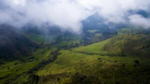 Salento/Pereira: Cocora Valley & Salento Hiking Private Tour - The 6-hour rhythm: pickup from Armenia to viewpoints in the valley