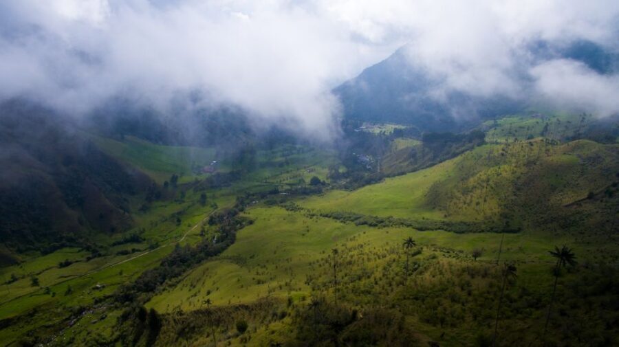Salento/Pereira: Cocora Valley & Salento Hiking Private Tour - Guides are the real reason this tour works