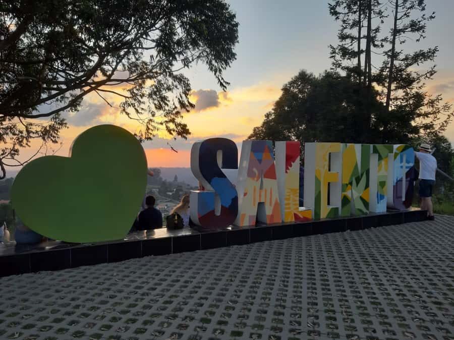 Salento: Private Cocora Valley, Salento & Coffee Farm Tour - Coffee farm tour: from plantation to roasting, in clear steps