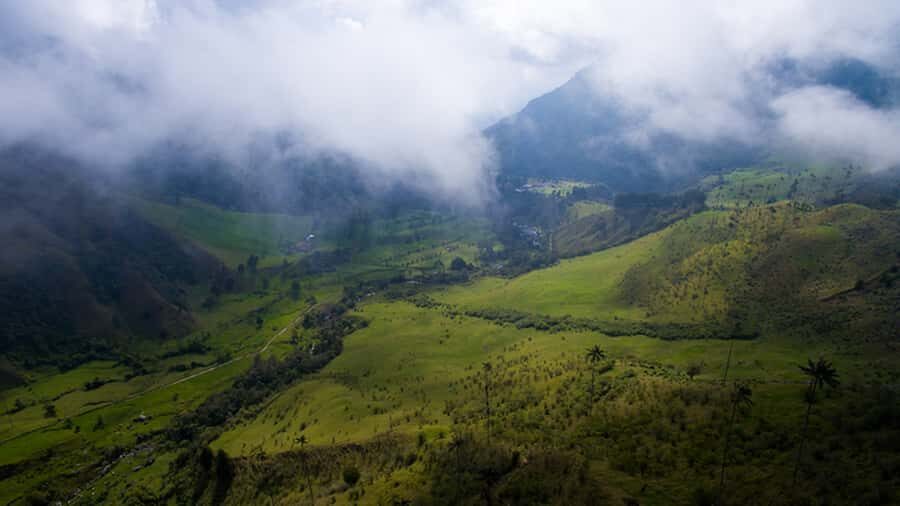 Salento: Private Cocora Valley, Salento & Coffee Farm Tour - Pacing, comfort, and the stuff you should bring