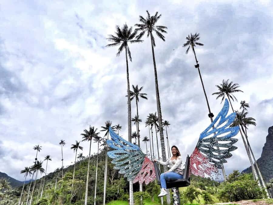 Salento: Private Cocora Valley, Salento & Coffee Farm Tour - UNESCO-level context: why coffee culture fits these mountains