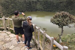 Salt Cathedral of Zipaquirá Tours: Multiple Options Available - 8:00 am start, meeting point, and how the transfers affect your day
