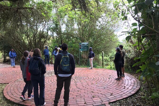 Salt Cathedral of Zipaquirá Tours: Multiple Options Available - Guides and drivers: why names keep coming up, and what it means for you