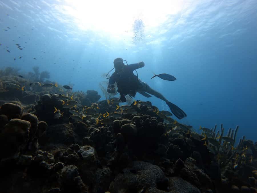 San Andres: Scuba Diving Experience with Hotel Pickup - Key things that make this experience worth your time