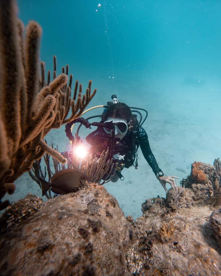 San Andres: Scuba Diving Experience with Hotel Pickup - Who should book this experience (and who should not)