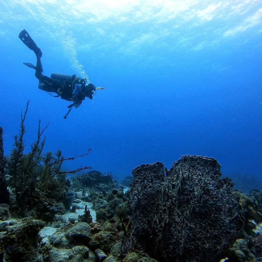 San Andres: Scuba Diving Experience with Hotel Pickup - Hotel pickup to the gear briefing: what the first hour really looks like