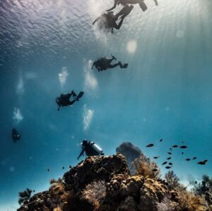 San Andres: Scuba Diving Experience with Hotel Pickup - Equipment, training, and communication basics (before you go below)