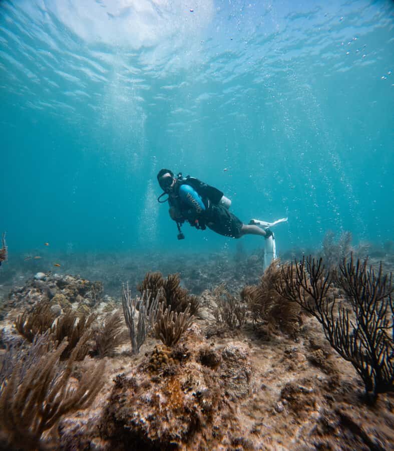 San Andres: Scuba Diving Experience with Hotel Pickup - The underwater museum of statues: why it’s more than a gimmick