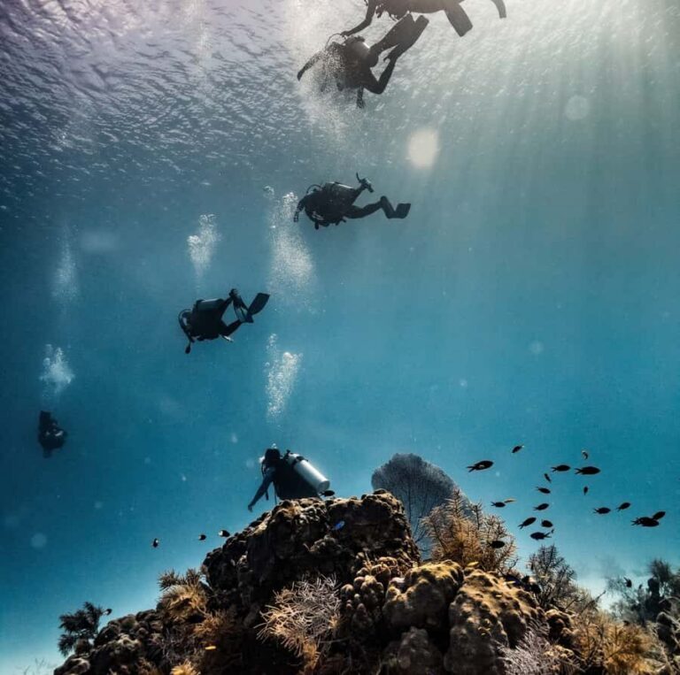 San Andres: Scuba Diving Experience with Hotel Pickup - Equipment, training, and communication basics (before you go below)
