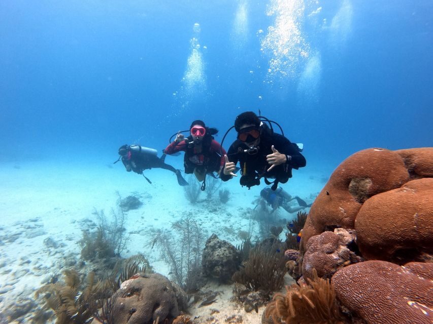 San Andres: Scuba Diving Experience with Hotel Pickup - Practical tips so your first underwater session feels easy