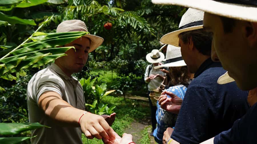 Santa Marta: Minca Coffee, Cocoa, & Waterfall Full-Day Trip - Santa Marta to Minca: the drive that sets the tone