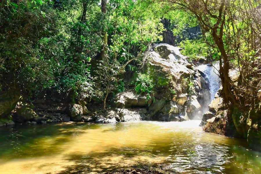 Santa Marta: Minca Coffee, Cocoa, & Waterfall Full-Day Trip - Minca River pools and waterfall time: swimming rules of the day