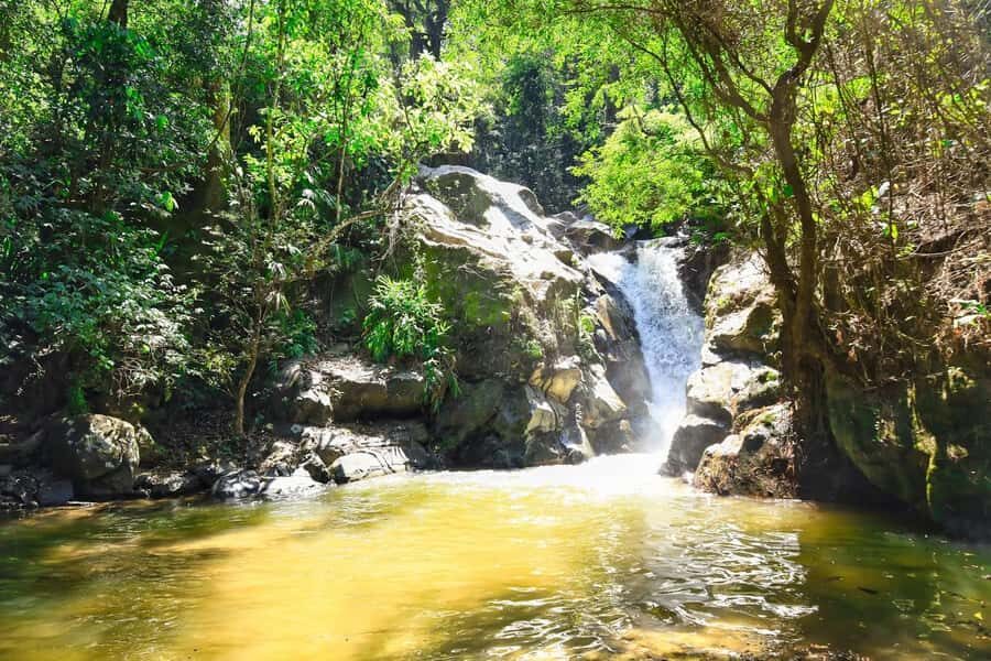Santa Marta: Minca Coffee, Cocoa, & Waterfall Full-Day Trip - The bamboo restaurant lunch: where your legs finally exhale