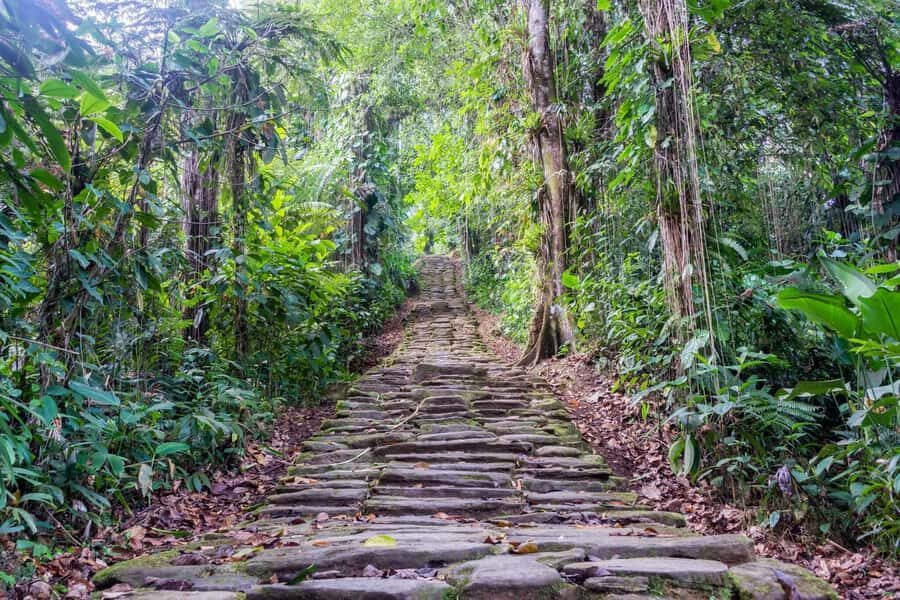 Santa Marta: Multi-Day Trek to The Lost City - Why the Lost City trek from Santa Marta is so compelling