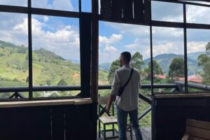 Scenic Horseback Riding in the Medellín Mountains - How guides keep it safe and comfortable (and who you might meet)
