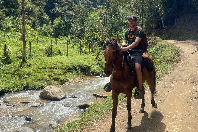 Scenic Horseback Riding in the Medellín Mountains - Horses and matching: why first-timers feel more confident