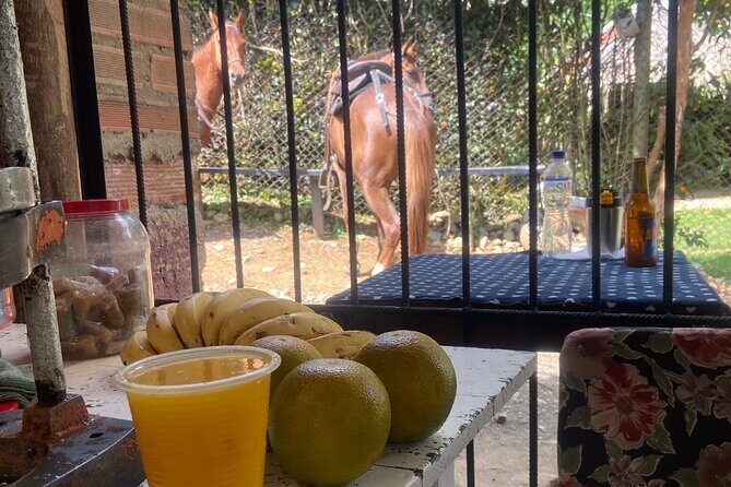 Scenic Horseback Riding in the Medellín Mountains - Who this horseback tour fits best