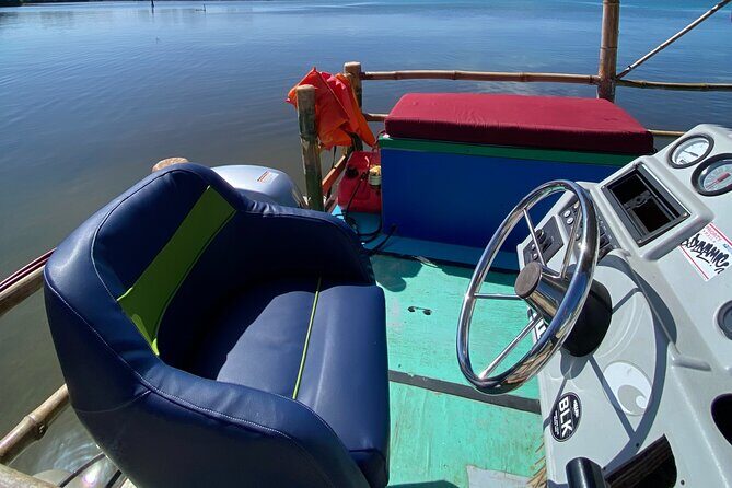 Shark & Ray Afternoon Swim Tiki Bar Cruise - Key highlights you’ll actually feel on the water