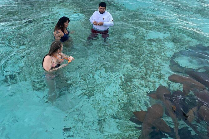 Shark & Ray Afternoon Swim Tiki Bar Cruise - Price and value: is $60 a good deal in Belize?