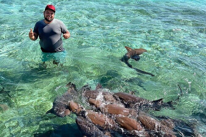 Shark & Ray Afternoon Swim Tiki Bar Cruise - Who should book this cruise (and who might think twice)