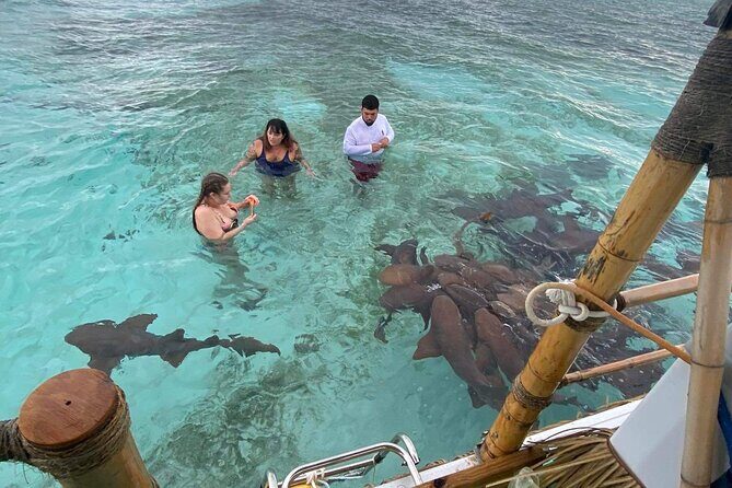 Shark & Ray Afternoon Swim Tiki Bar Cruise - The “tiki bar” feel: drinks, music, and a comfy ride