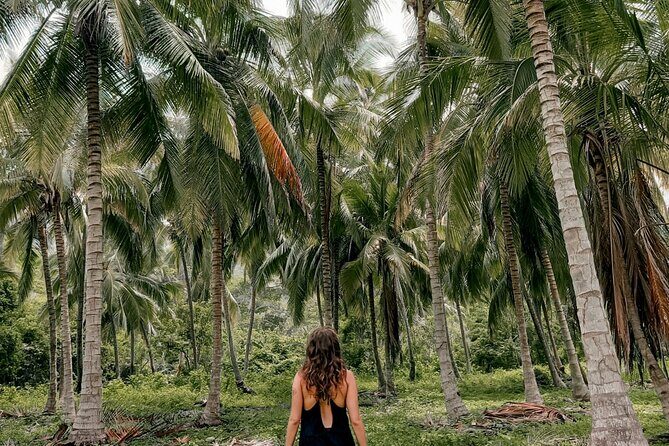 Tayrona Park Hike Tour to Cabo San Juan: Private or Shared - Why Cabo San Juan Is Worth the Santa Marta Hike