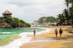 Tayrona Park Hike Tour to Cabo San Juan: Private or Shared - Private vs Shared Transport: How Your Day Really Changes