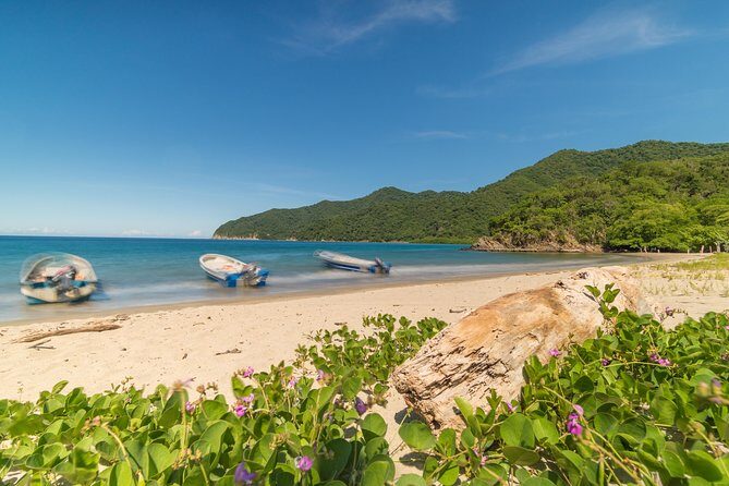 Tayrona Park Hike Tour to Cabo San Juan: Private or Shared - Stop 1: Santa Marta to Tayrona Entrance