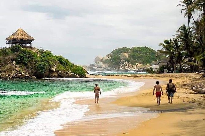 Tayrona Park Hike Tour to Cabo San Juan: Private or Shared - Private vs Shared Transport: How Your Day Really Changes