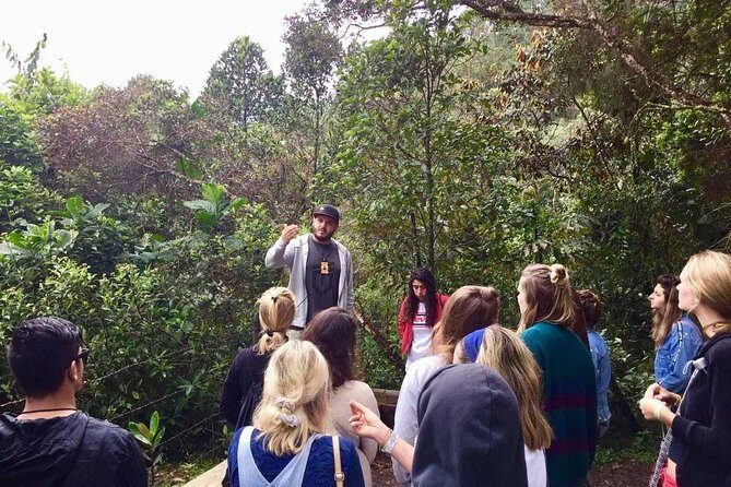 The "not polite to use his name" City Tour - The guide matters, and Daniel is a standout