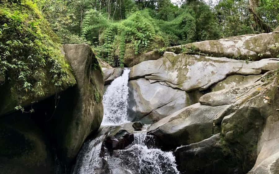 Trekking History and Indigenous Heritage in Minca + Cacao & Coffee + Waterfall - Key Things You’ll Notice on This Minca Trek
