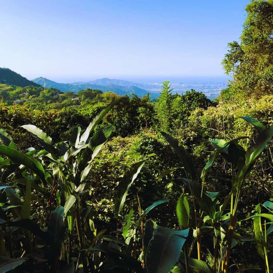 Trekking History and Indigenous Heritage in Minca + Cacao & Coffee + Waterfall - Price and Value: What You Get for About $41