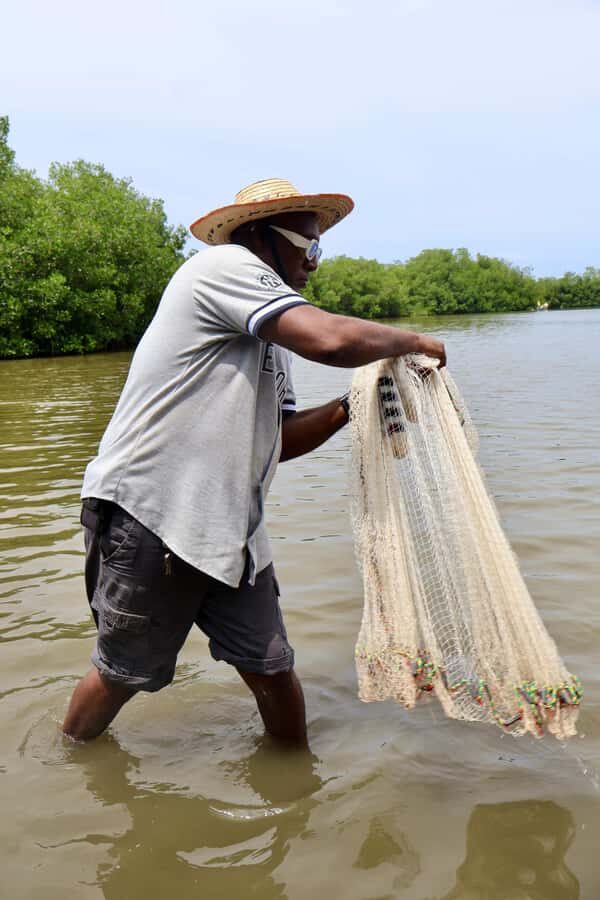 Typical lunch on beach, mangrove tour & fishing with natives - Should You Book This Tour?