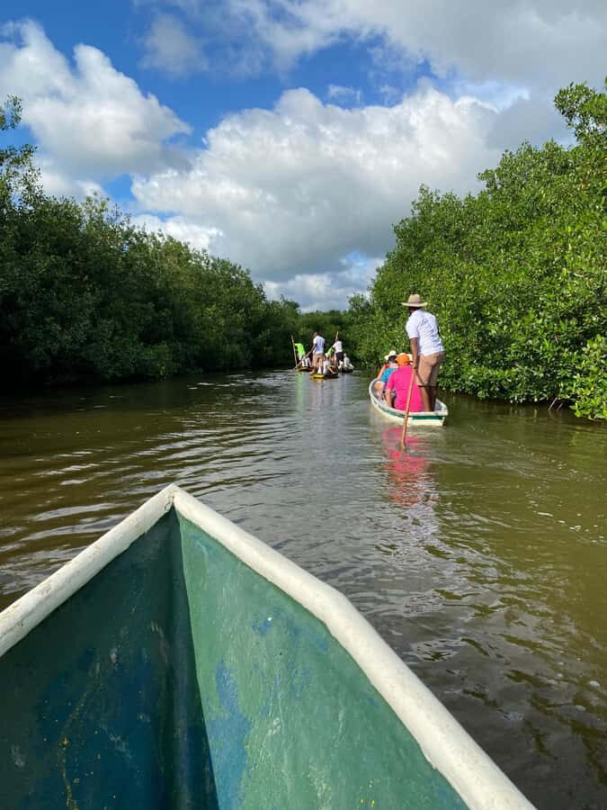 Typical lunch on beach, mangrove tour & fishing with natives - Entering the Afro-Descendant Community North of Cartagena