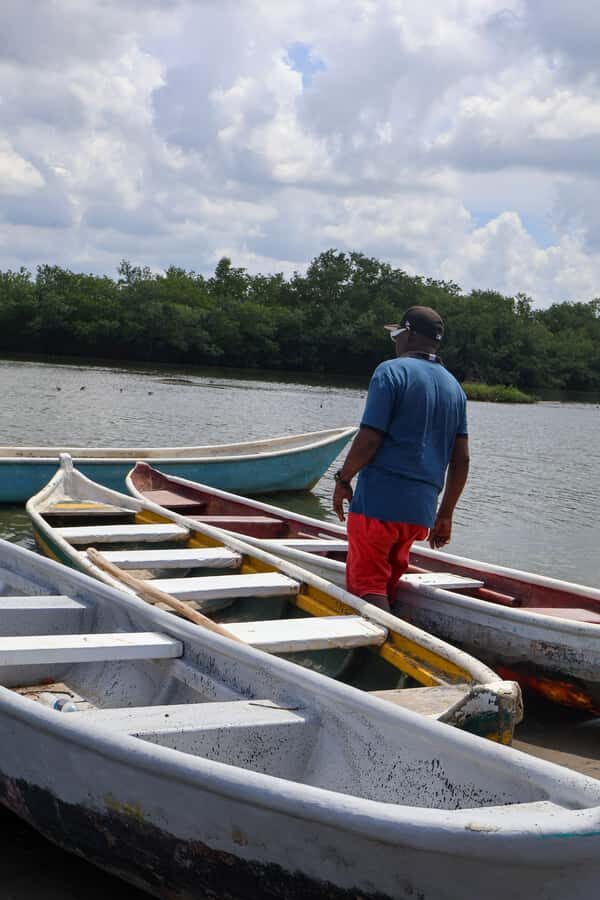 Typical lunch on beach, mangrove tour & fishing with natives - Price and Value: What $84 Buys You in Real Terms
